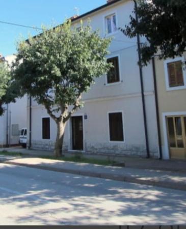 Pet Friendly Apartment Murvi 50 Novigrad Istria 外观 照片